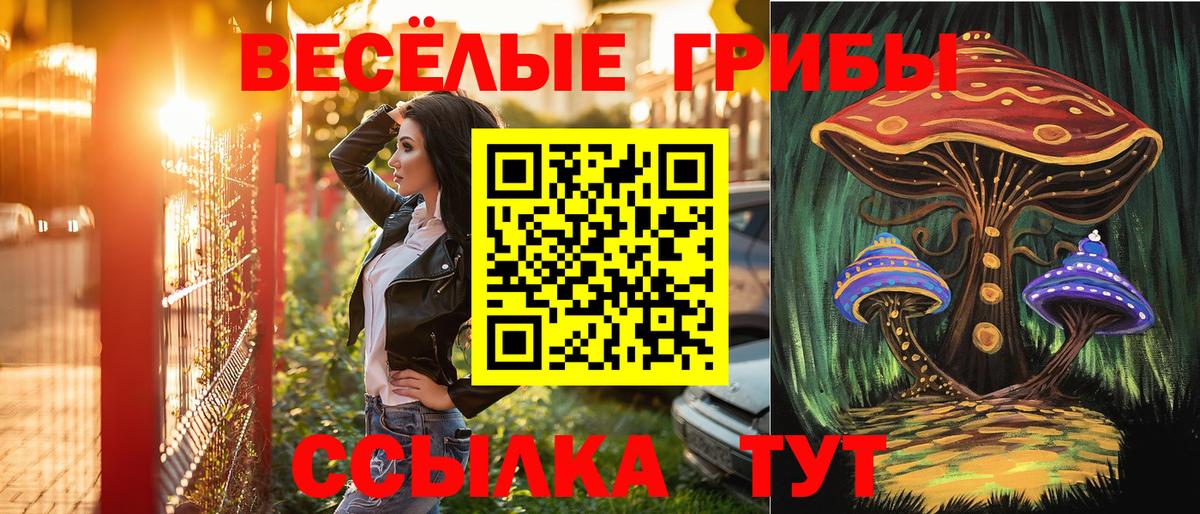 Галлюциногенные грибы прущие грибы Аша