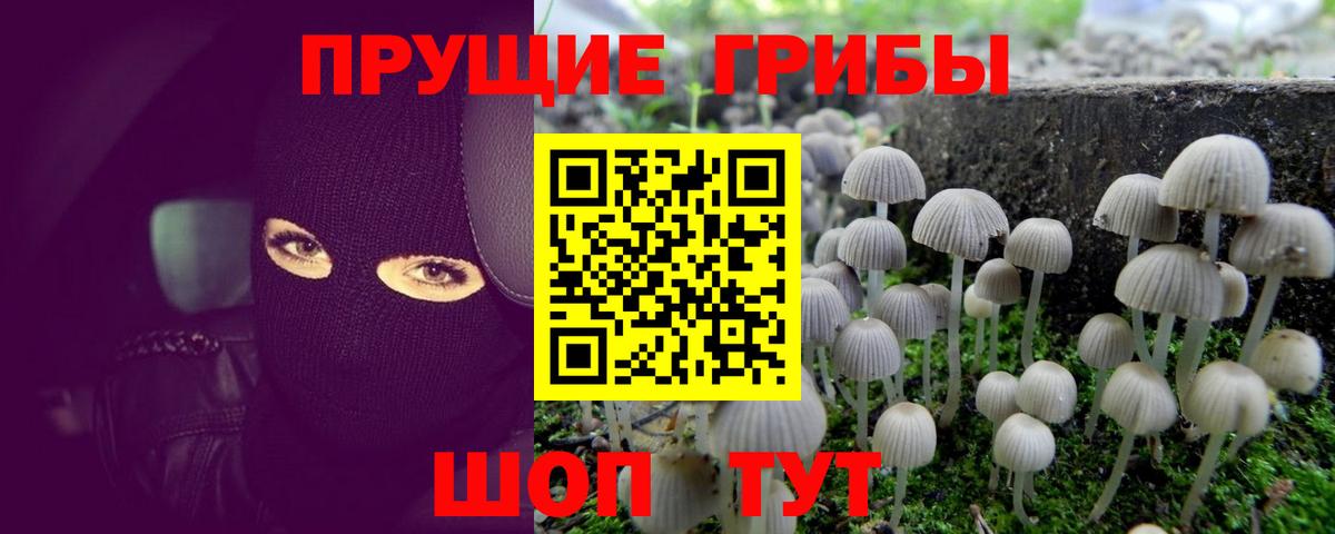 Галлюциногенные грибы мухоморы  Галлюциногенные грибы Magic Shrooms  Аша  Вход с VPN 